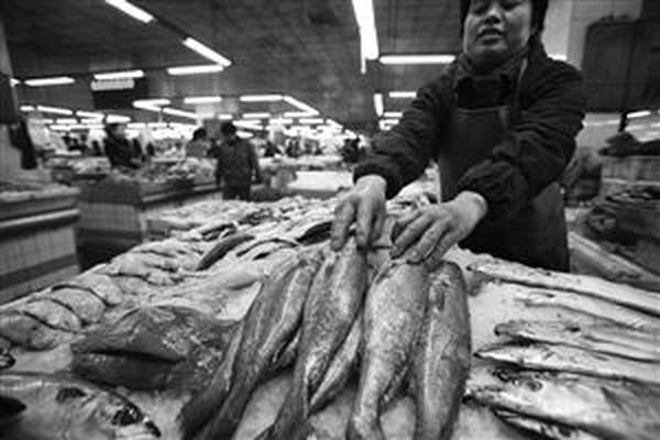米鱼的营养价值有多高呢