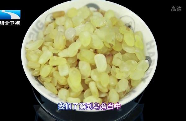 皂角米没熟可以吃吗,皂角米没熟吃了会中毒吗
