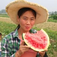 皖北杨小菲