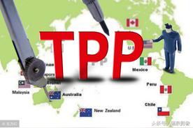 跨太平洋伙伴关系协定(cptpp)（跨太平洋伙伴关系协定的简写是）