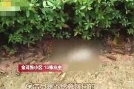 在家教育孩子（你在家教育引导孩子的具体方式)