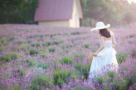 丁香花高清在线观看在线观看-杰拉尔德影视