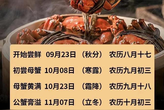 十一月适合吃螃蟹么？