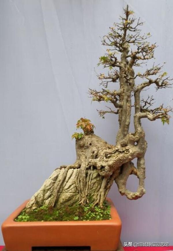 御影石飾り台石・盆栽台・オブジェ花台・ショーウィンドウ用 御影石飾り台石・盆栽台・オブジェ花台・ショーウィンドウ用