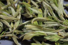 高山白牡丹茶属于什么茶类（牡丹茶属于红茶还是绿茶）