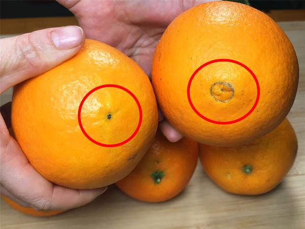 怎么挑橙子是甜的,橙子有什么功效