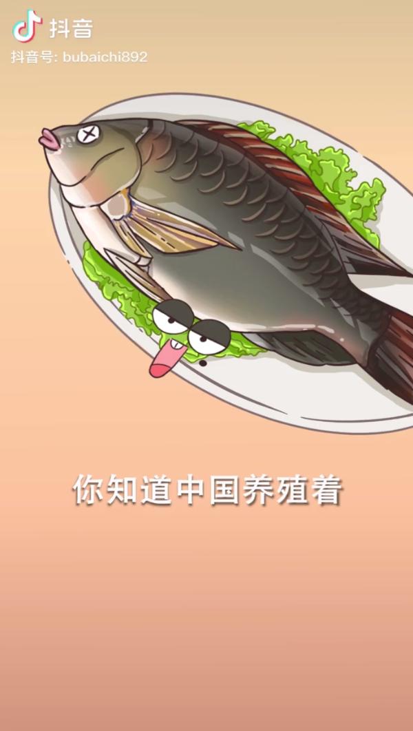 罗非鱼能吃吗,福寿鱼和罗非鱼的区别