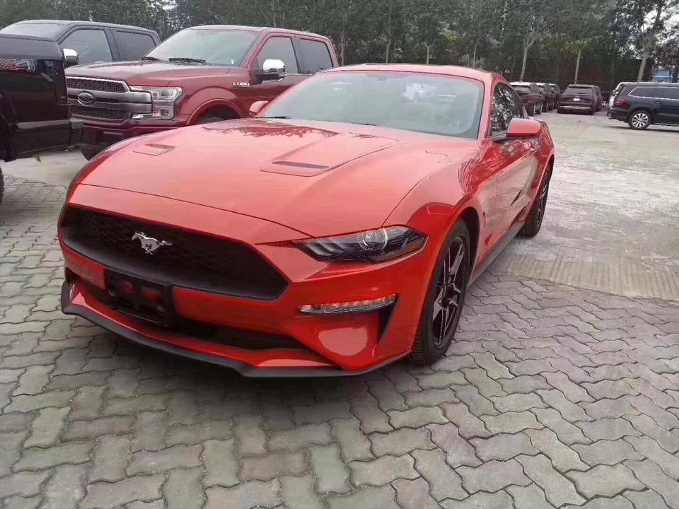 mustang-想入手一辆中规，因为中规配置高。但是现在 美规2001A包 和中规配置一样高了?内脏有什么不同的区别吗？大神们?