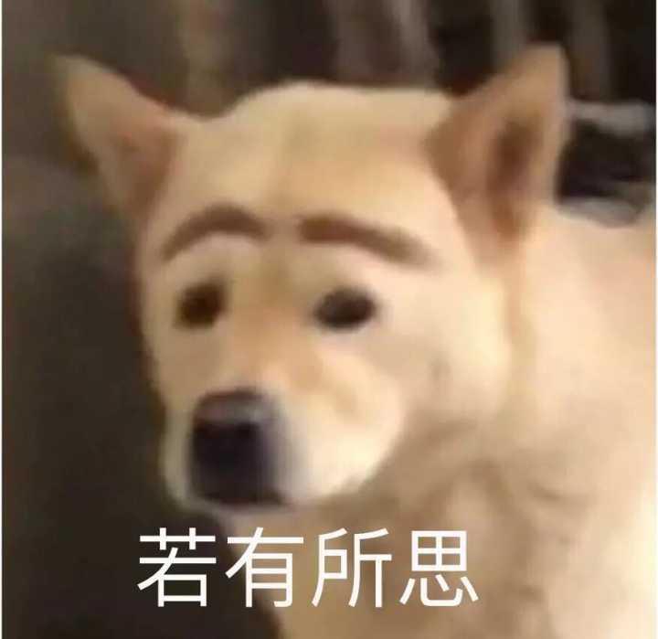 比亚迪宋pro燃油版 车上标注是92号 但是有人推荐加95号 所以到底是加92号好还是95号好呢？有没有大神帮忙解释一下