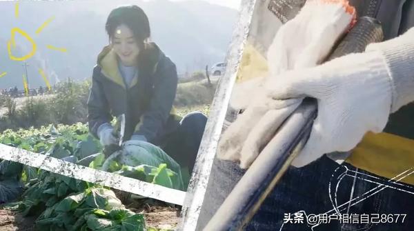 赵丽颖近况最新消息图片(赵丽颖近况最新消息图片高清)