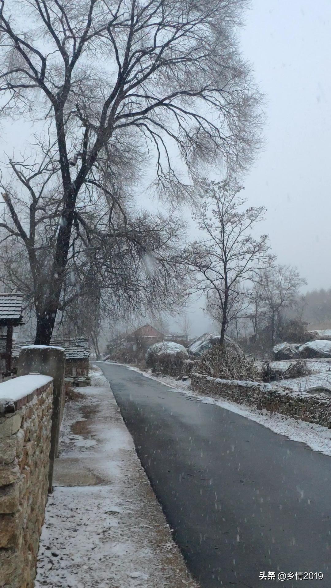 鞍山头条 初冬的乡村,瑞雪纷纷兆丰年!