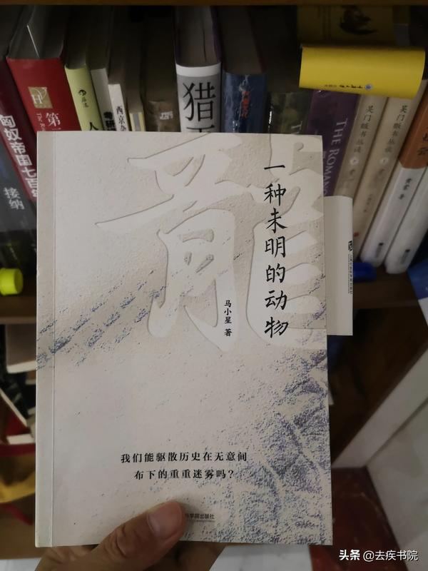 最频繁七天了没有小船（为什么七天了还没有小船）