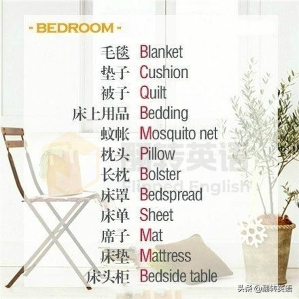 50个常见生活用品英语单词(常用生活用品英语单词)