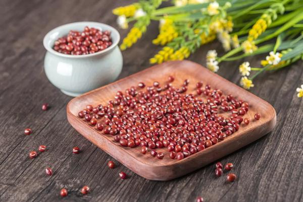 芡实是一种什么植物(芡实是一种什么植物呢)