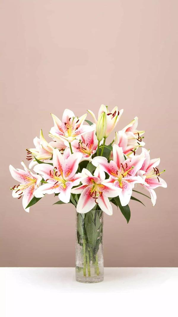 形容温暖陪伴的诗句（最温暖的陪伴诗词）