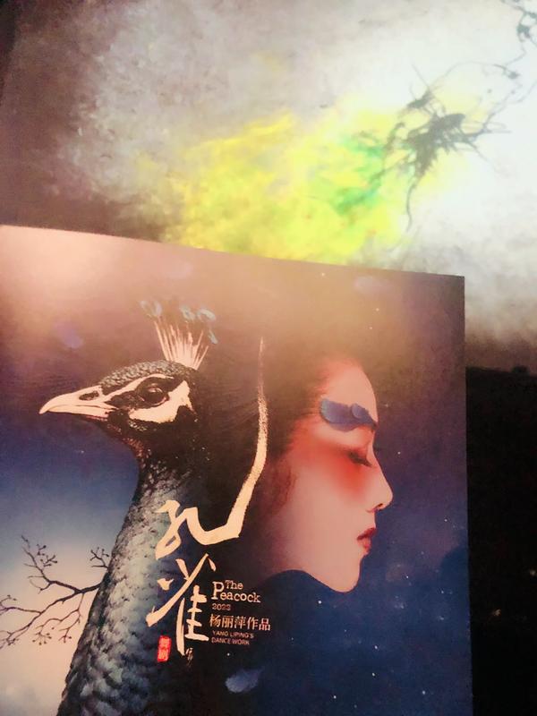 哀雀的牢笼(哀雀的牢笼by奈奈海棠网)