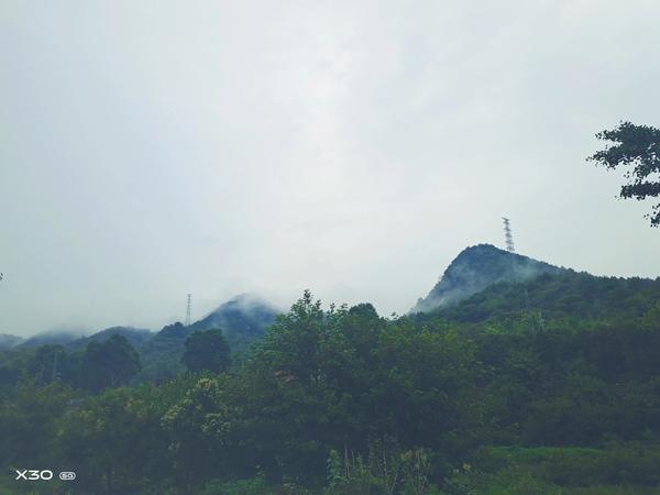 好听网红网名(抖音十大网红网名)