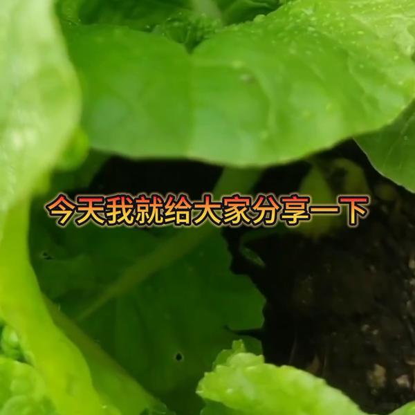 expr