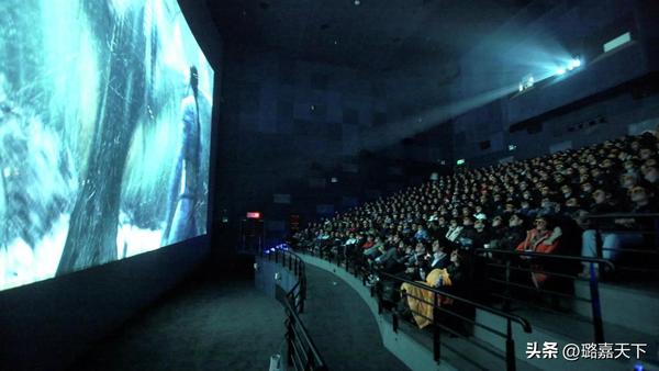 为什么今年不引进电影（为什么上半年没有引进电影）