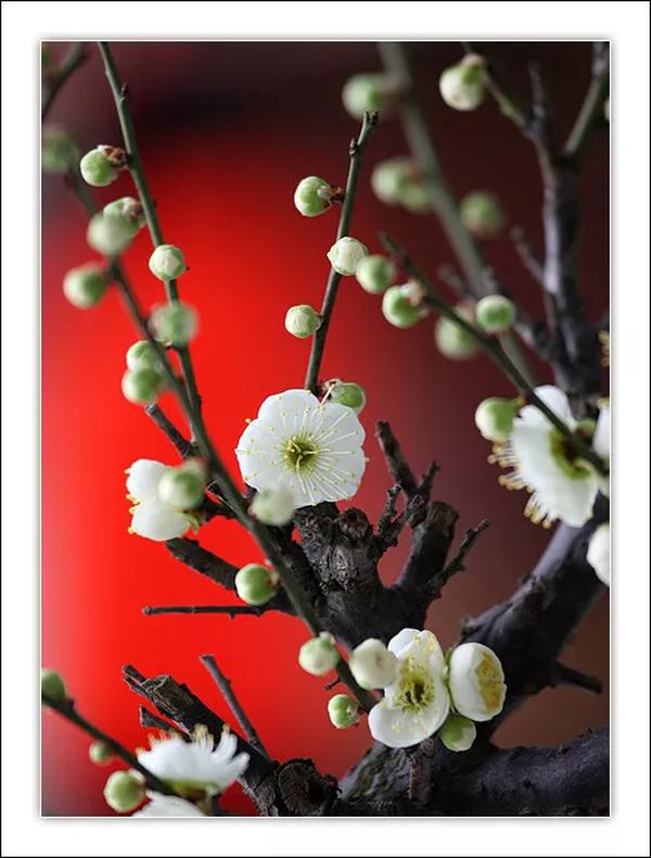 情侣qa 问题(情侣qa是什么意思)