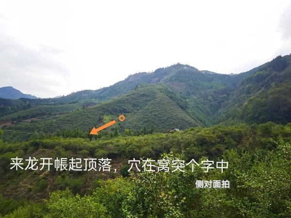 阴宅酉山卯向风水详解_酉山卯向坟墓风水分析