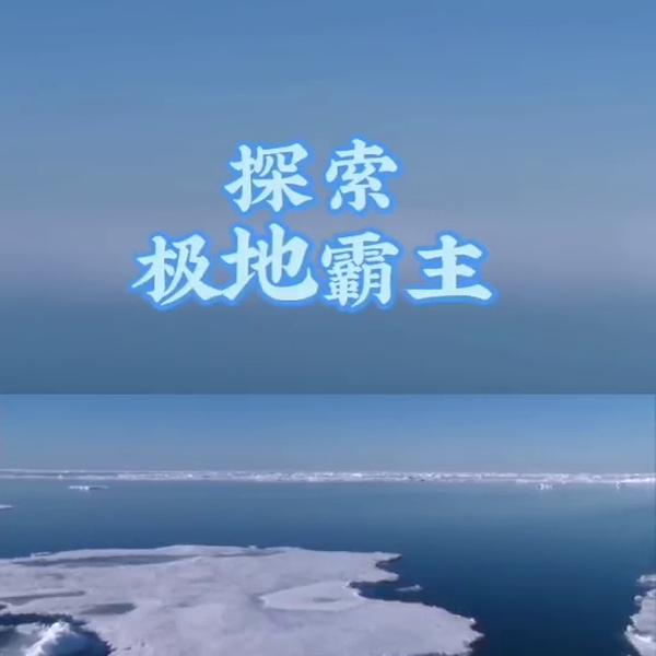 expr