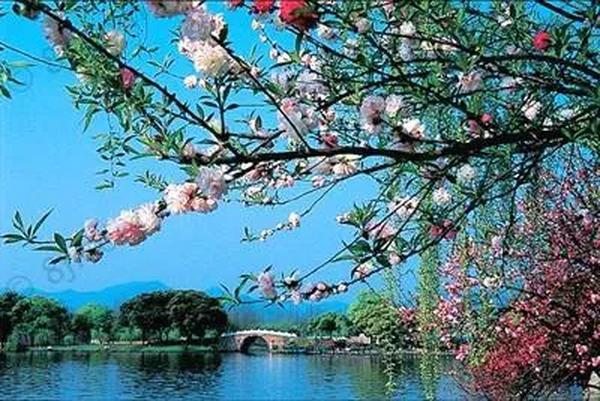 彭祖的真实寿命（彭祖的真实寿命是多少年）