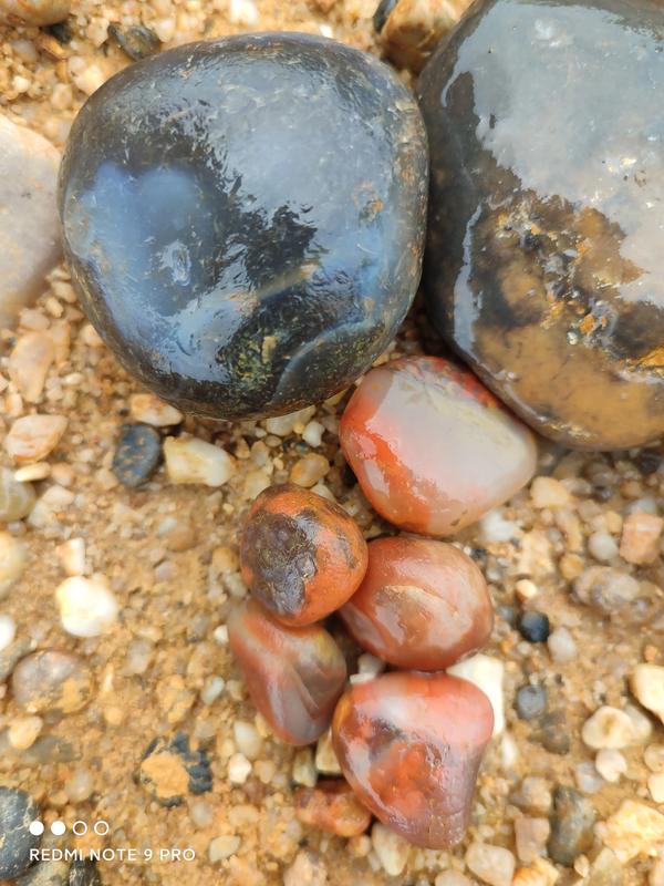 黑色雨花石（黑色雨花石）