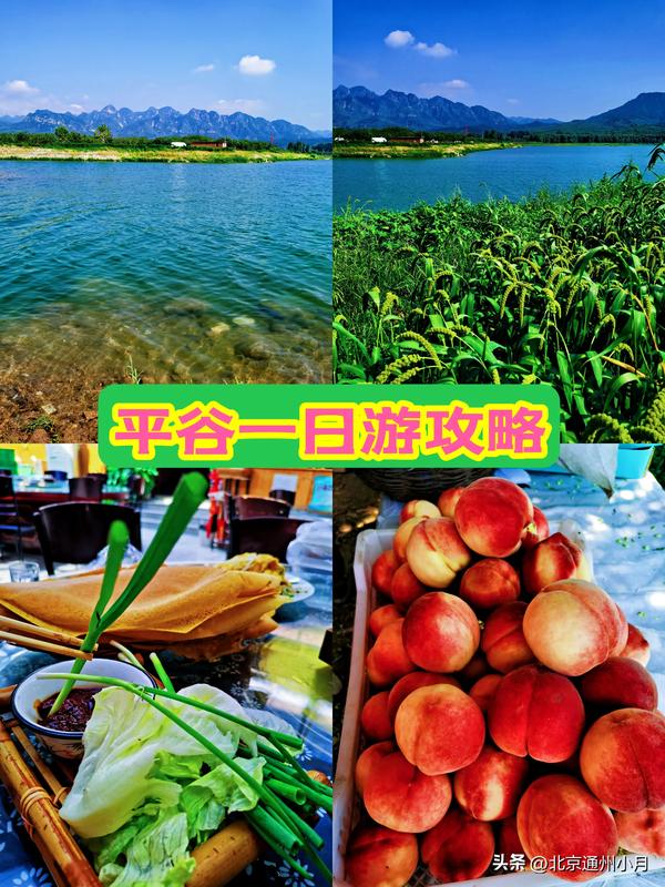 平谷桃采摘园哪里好些(平谷桃采摘园哪里好些呀)