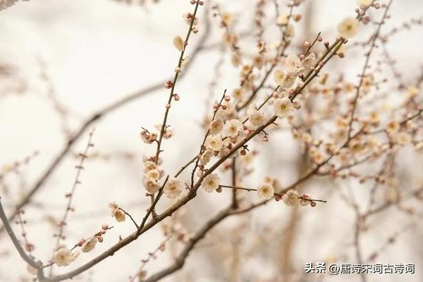 怎样介绍自己的照片100字(怎样介绍自己的照片100字内容)