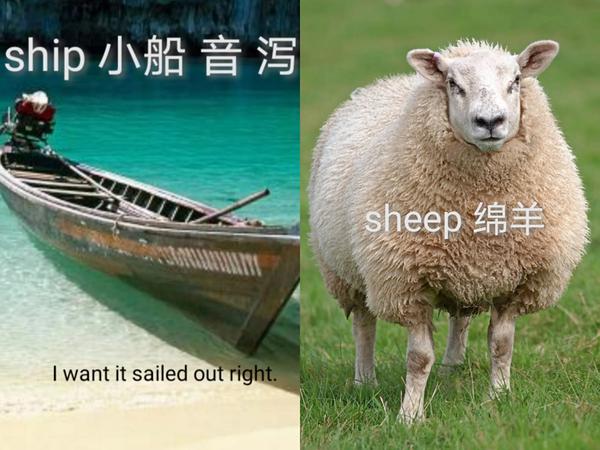 sheep怎么读（sheep怎么读英语）