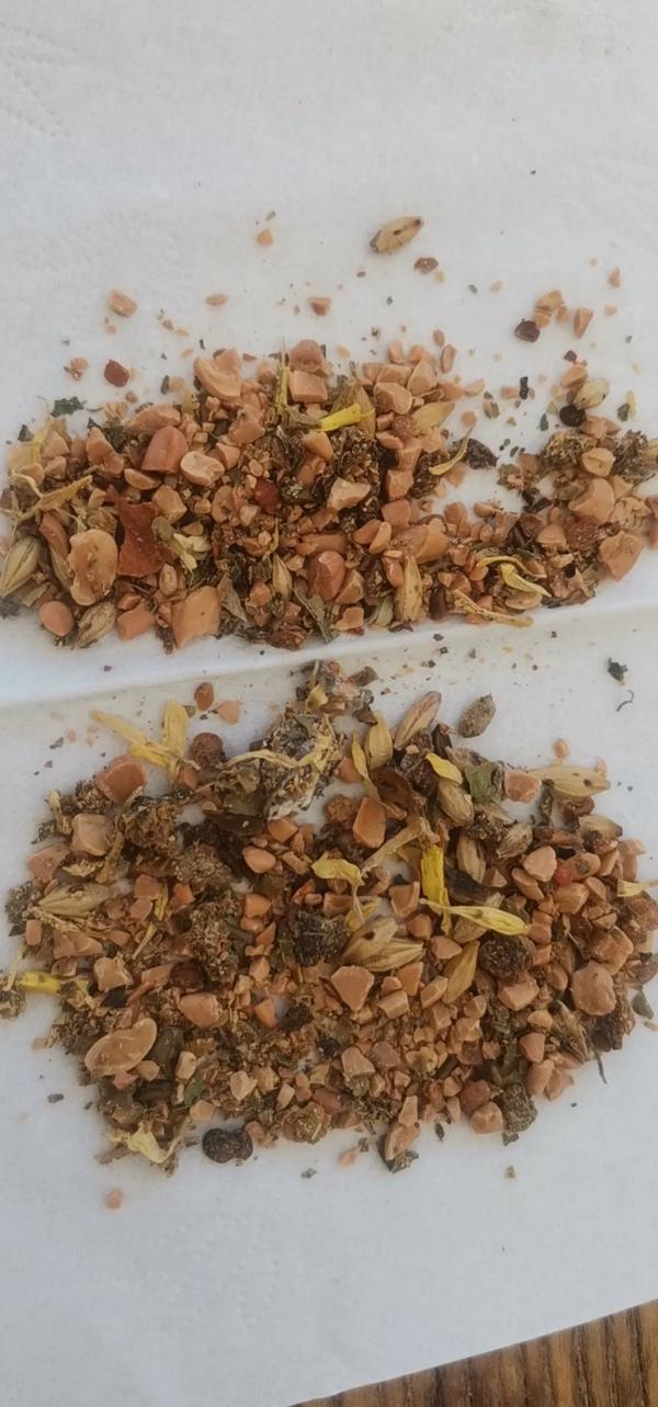 菊花决明子(菊花决明子茶)