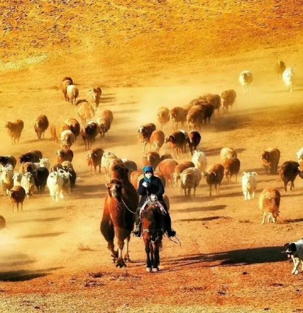 90后叛逆还是00后叛逆(为什么00后越来越叛逆)