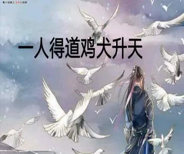 随之而去的意思（'随之而去的意思是什么）