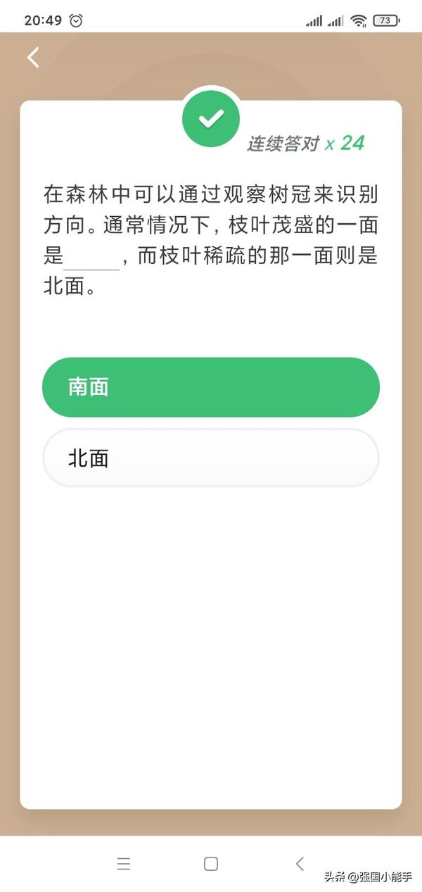森林中枝叶茂盛的一面是南面还是北面_森林中枝叶茂盛的一面是什么方向