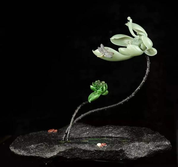 vx添加联系人失败（vx不常用联系人）