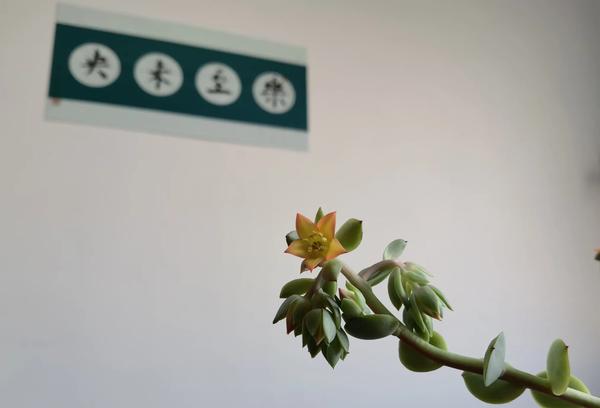 照片很有意境感（照片很有意境感怎么形容）