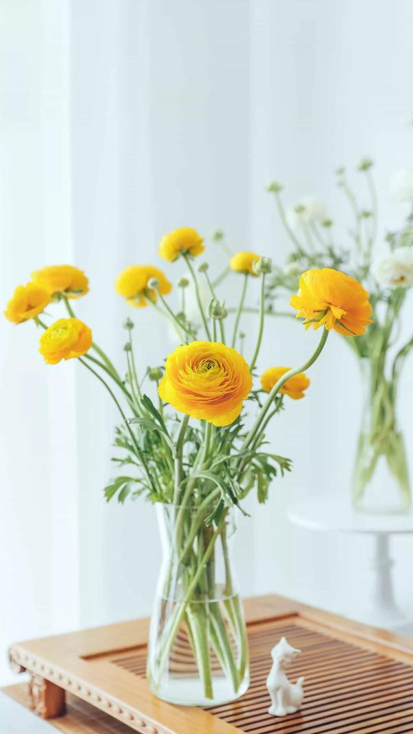 李清照的西江月(李清照的西江月十首)