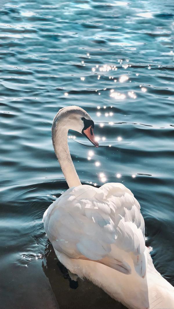 一群人儿是什么意思（一群人的含义）