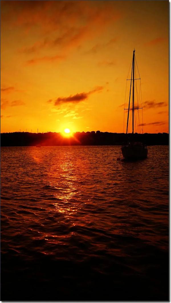 北岛 回答 赏析（北岛的回答鉴赏）