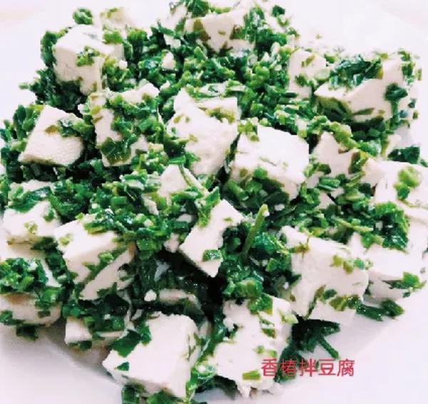 香椿是什么样子图片(香椿的图片是什么样)