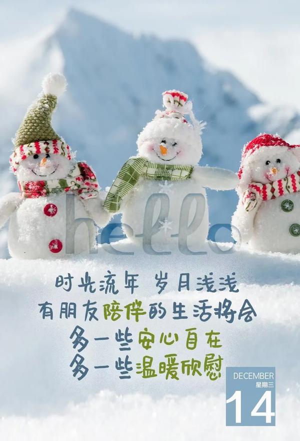 支付宝商家服务收费标准（支付宝商家服务费收费标准）