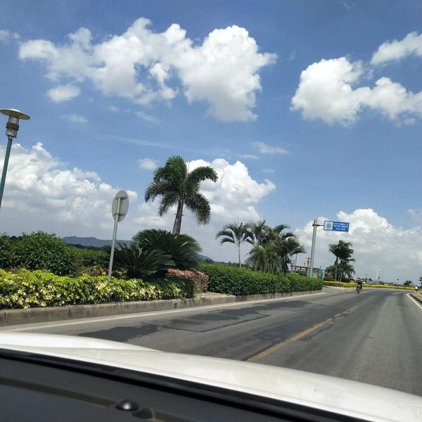 阿启免费算命(阿启免费算命姓名打分)