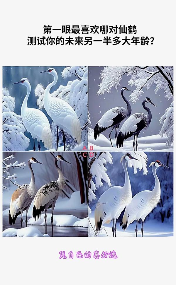 测测你的另一半的样子(心理测试你的另一半什么样子)