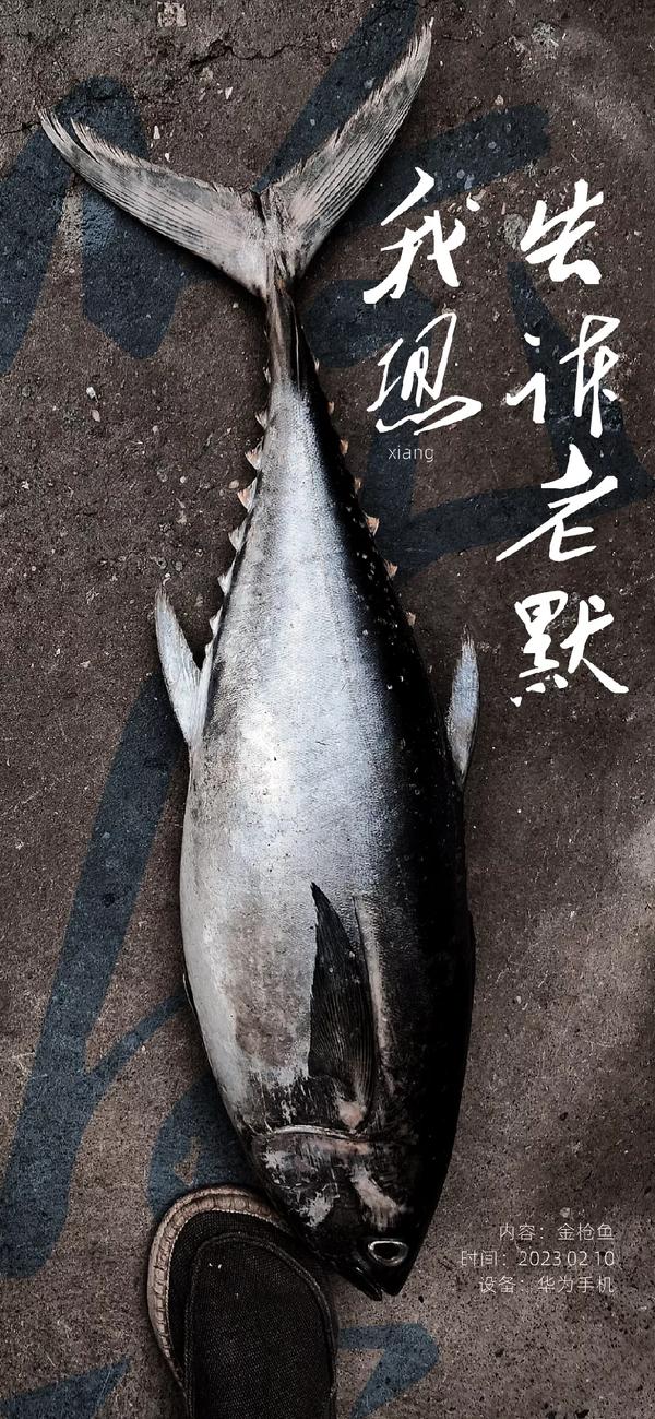 照片拍摄时间查询 华为(华为手机照片拍摄时间查询)