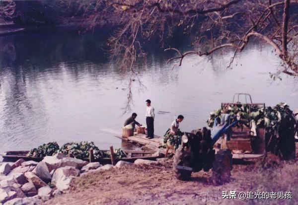 养儿100岁长忧99为什么差1年(养儿100岁 长忧99)