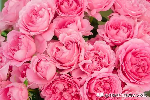 reluctant to(reluctant to part with)