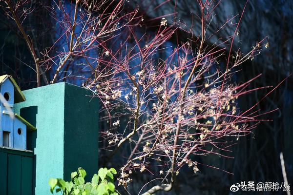 绿色的花园宝宝叫什么名字(绿色的花园宝宝叫什么名字呢)