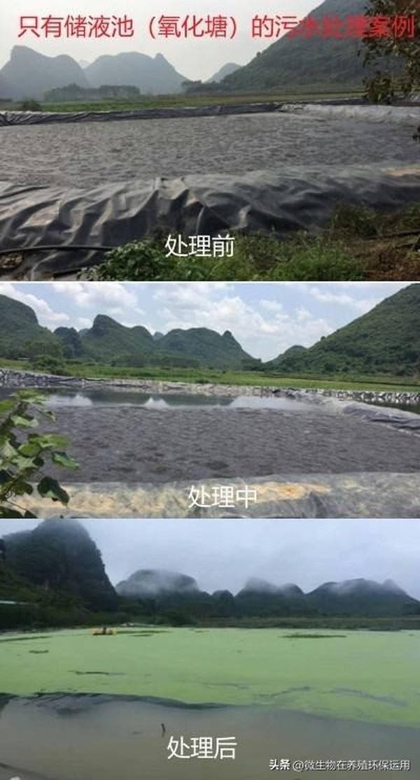 6205345905_d59a564256-160x160