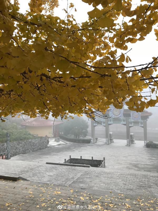 前不见古人后不见来者的意思（前不见古人后不见来者的意思是什么）